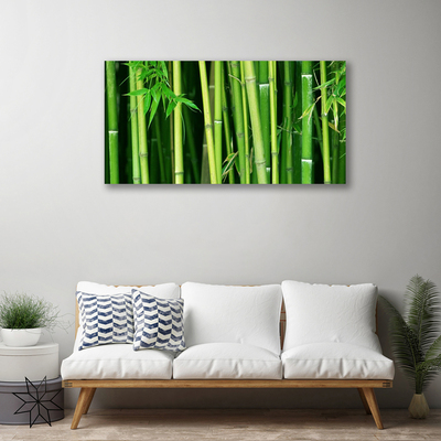 Quadro su tela Foresta di bambù Natura di bambù