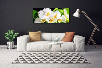 Quadro stampa su tela Fiori di orchidea Natura