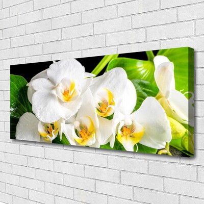 Quadro stampa su tela Fiori di orchidea Natura