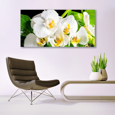 Quadro stampa su tela Fiori di orchidea Natura