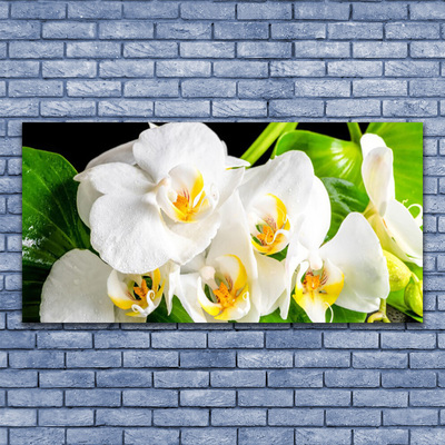 Quadro stampa su tela Fiori di orchidea Natura