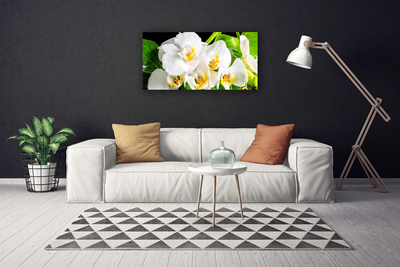 Quadro stampa su tela Fiori di orchidea Natura