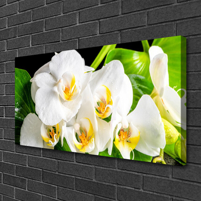 Quadro stampa su tela Fiori di orchidea Natura