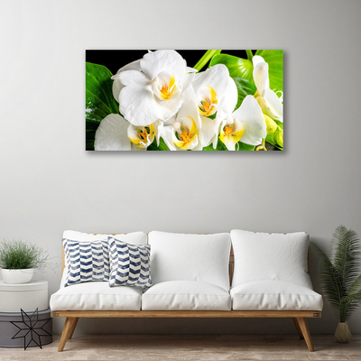 Quadro stampa su tela Fiori di orchidea Natura