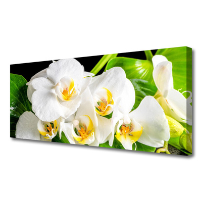 Quadro stampa su tela Fiori di orchidea Natura