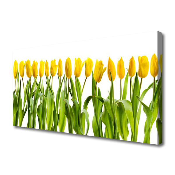 Quadro su tela Tulipani, fiori, natura