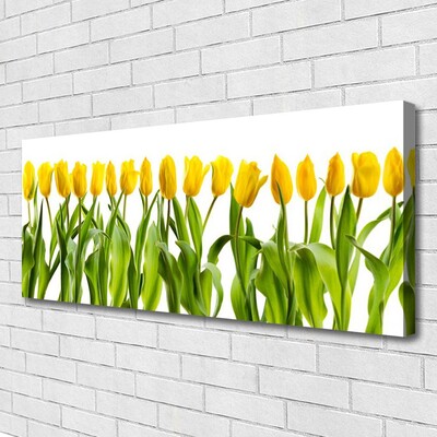 Quadro su tela Tulipani, fiori, natura