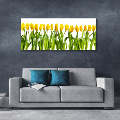 Quadro su tela Tulipani, fiori, natura