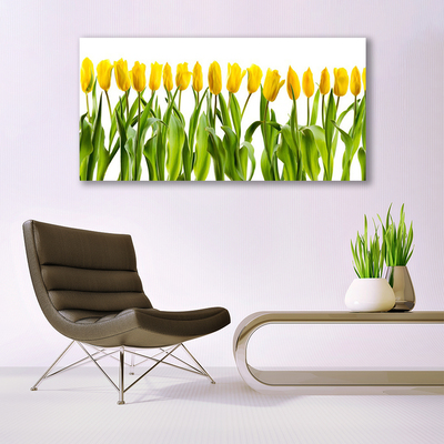 Quadro su tela Tulipani, fiori, natura