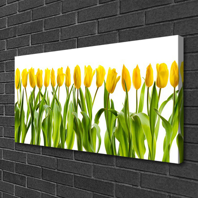 Quadro su tela Tulipani, fiori, natura