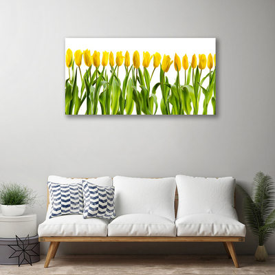 Quadro su tela Tulipani, fiori, natura