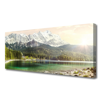 Quadro su tela Montagne del paesaggio del lago della foresta