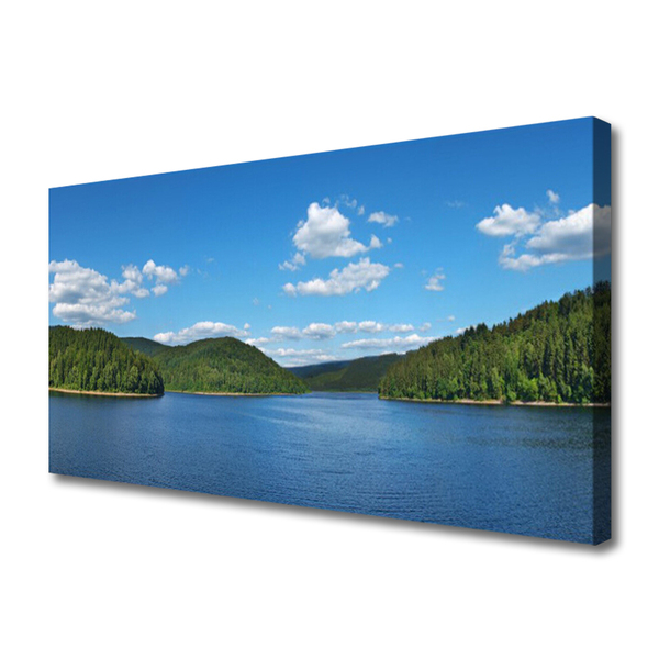 Quadro su tela Paesaggio della foresta del lago