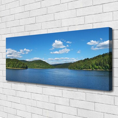 Quadro su tela Paesaggio della foresta del lago