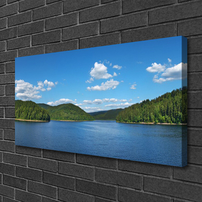 Quadro su tela Paesaggio della foresta del lago