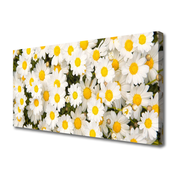 Quadro su tela Fiori di margherite