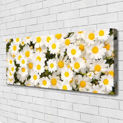 Quadro su tela Fiori di margherite