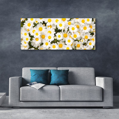 Quadro su tela Fiori di margherite