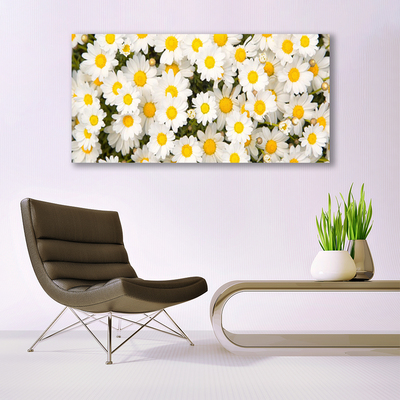 Quadro su tela Fiori di margherite