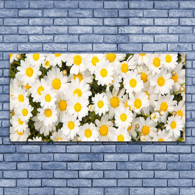 Quadro su tela Fiori di margherite