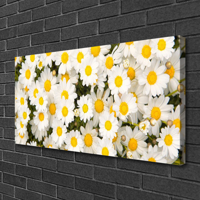 Quadro su tela Fiori di margherite