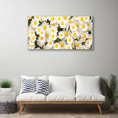 Quadro su tela Fiori di margherite