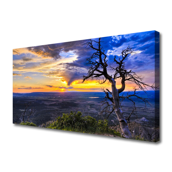 Foto quadro su tela Albero al tramonto