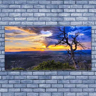 Foto quadro su tela Albero al tramonto