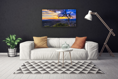 Foto quadro su tela Albero al tramonto