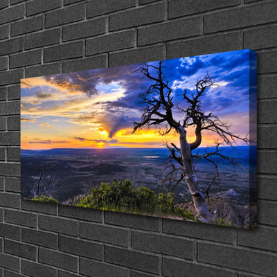 Foto quadro su tela Albero al tramonto