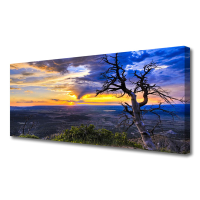 Foto quadro su tela Albero al tramonto