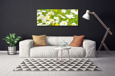 Quadro su tela Pianta di fiori di margherita