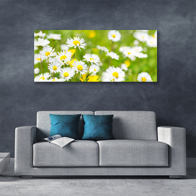 Quadro su tela Pianta di fiori di margherita