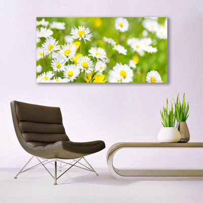 Quadro su tela Pianta di fiori di margherita