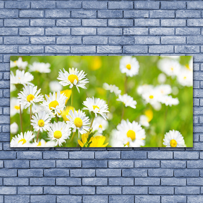 Quadro su tela Pianta di fiori di margherita