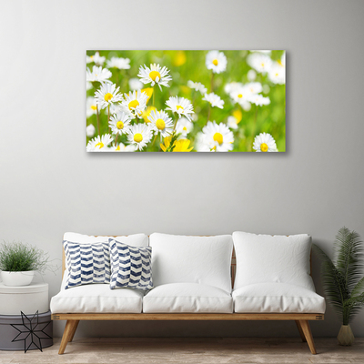 Quadro su tela Pianta di fiori di margherita