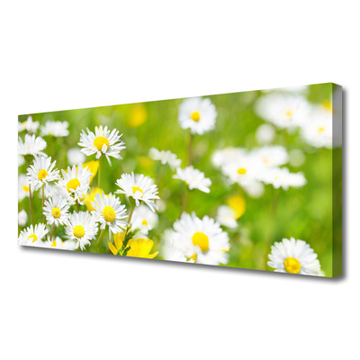 Quadro su tela Pianta di fiori di margherita