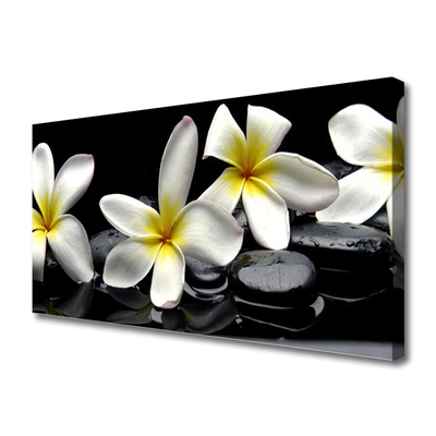 Quadro su tela Bellissimo fiore di Plumeria