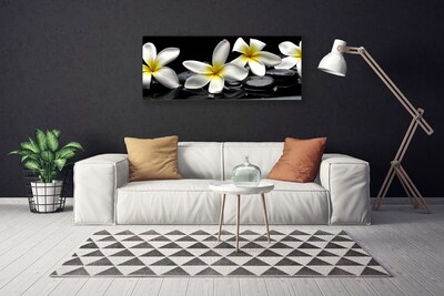 Quadro su tela Bellissimo fiore di Plumeria