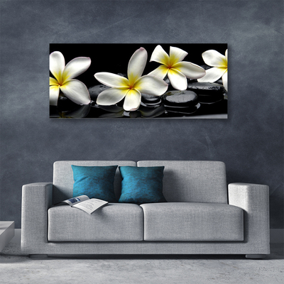 Quadro su tela Bellissimo fiore di Plumeria