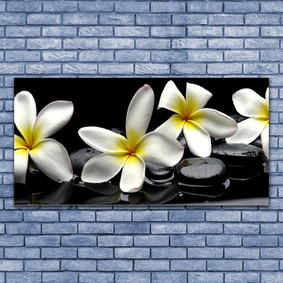 Quadro su tela Bellissimo fiore di Plumeria