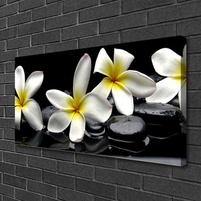 Quadro su tela Bellissimo fiore di Plumeria