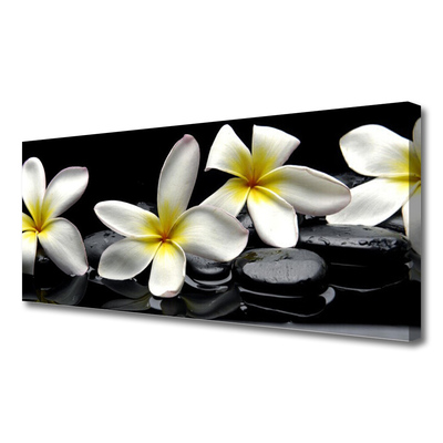 Quadro su tela Bellissimo fiore di Plumeria