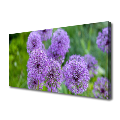 Foto quadro su tela Fiori viola del prato