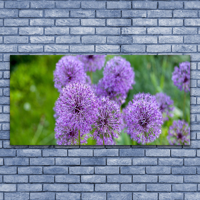 Foto quadro su tela Fiori viola del prato