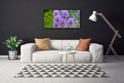 Foto quadro su tela Fiori viola del prato