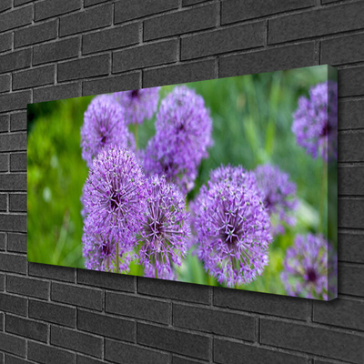 Foto quadro su tela Fiori viola del prato