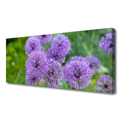 Foto quadro su tela Fiori viola del prato