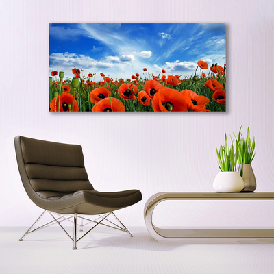 Quadro su tela Fiori di papaveri di prato