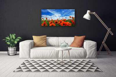 Quadro su tela Fiori di papaveri di prato